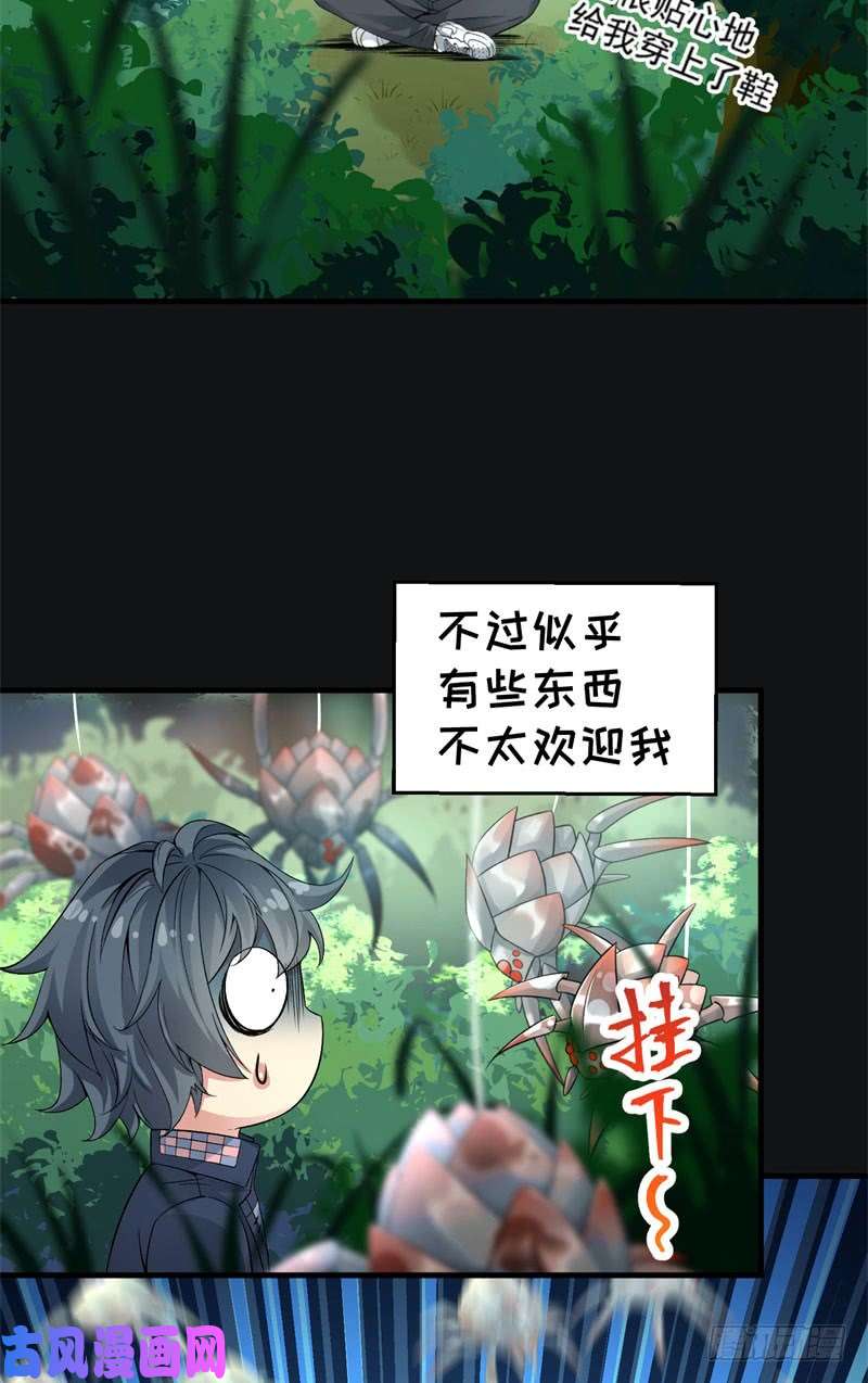 我捡起了一地属性01话-你可愿做我的传人？