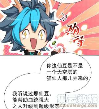 我捡起了一地属性238话-被捕获了？