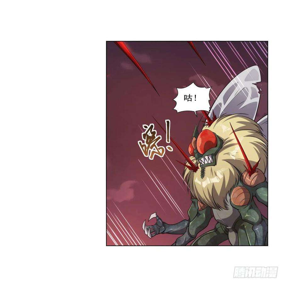 失业魔王274话 苍蝇对蝙蝠
