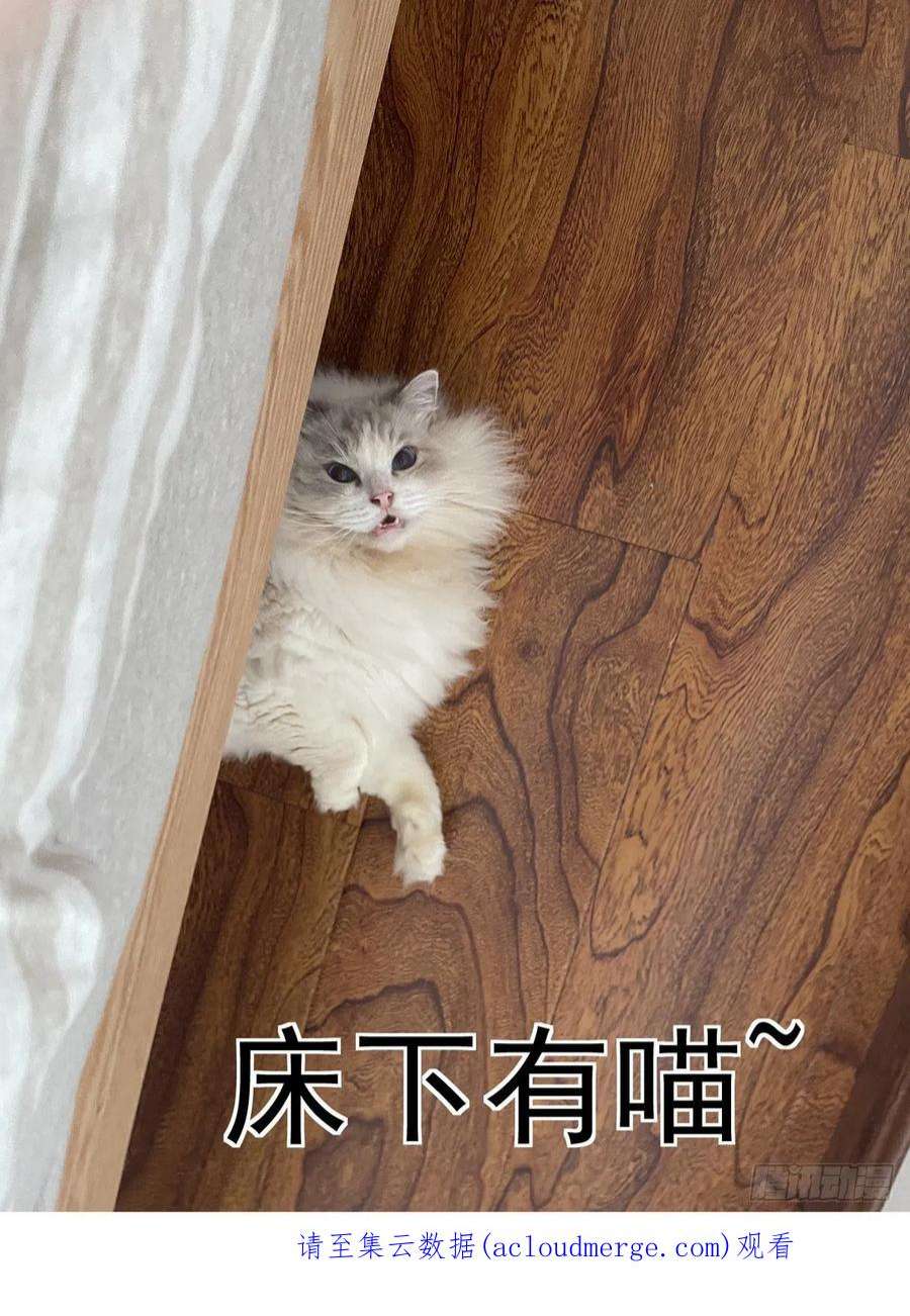 赛博英雄传068脊柱与脑机屏障