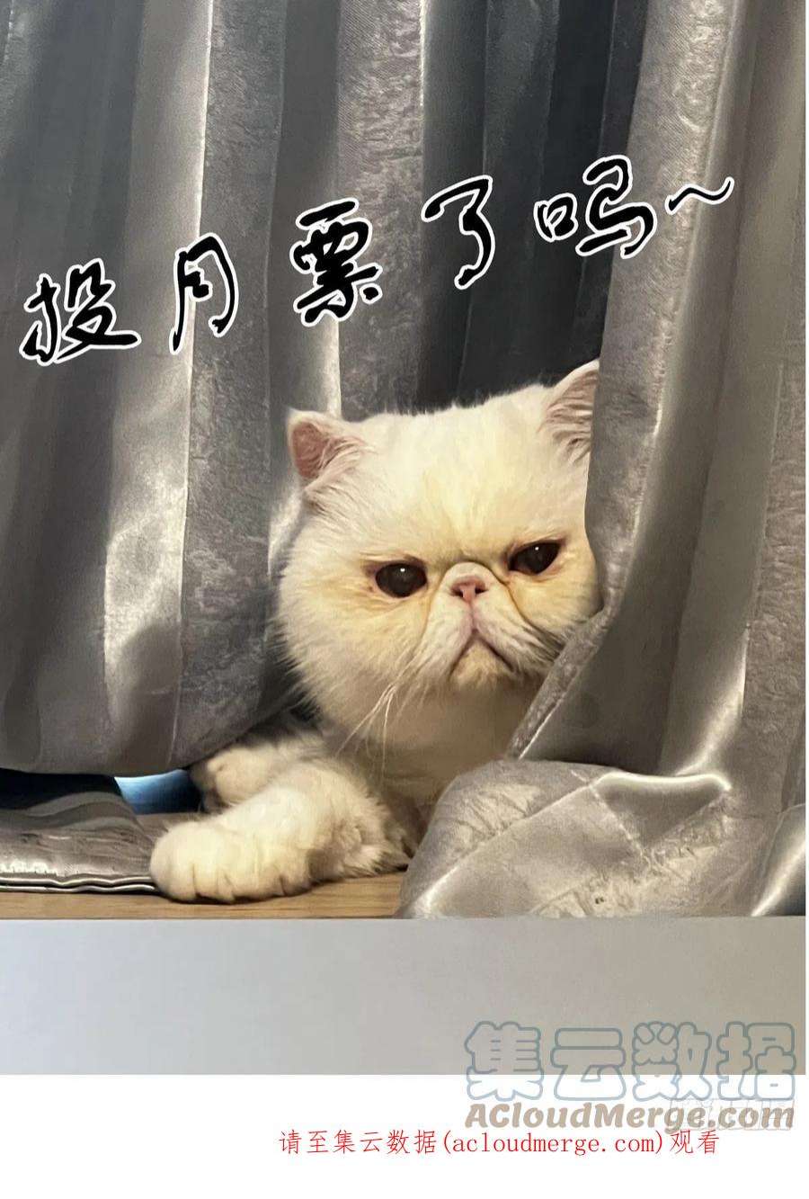 赛博英雄传074追兵将至