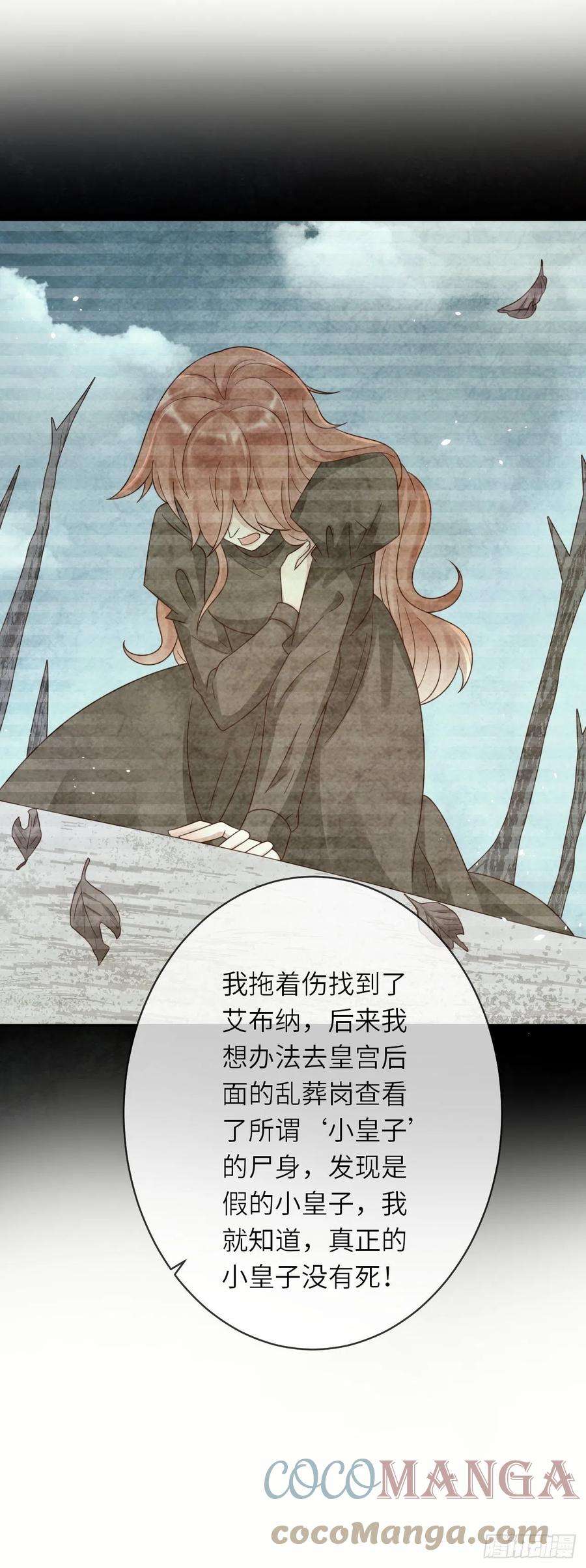 重生游戏：这个皇子不好养47话 修林的真正身世