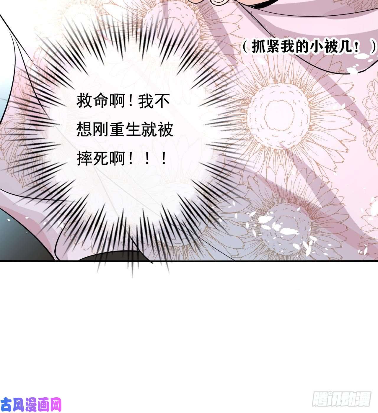 系统之小公主攻略第一话 卡米亚国唯一的公主