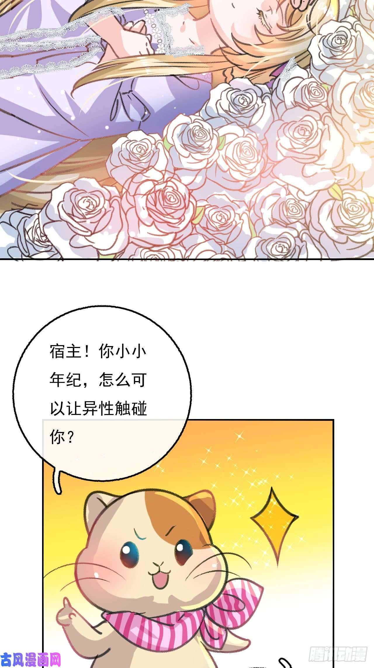 系统之小公主攻略第13话 长大后的小正太