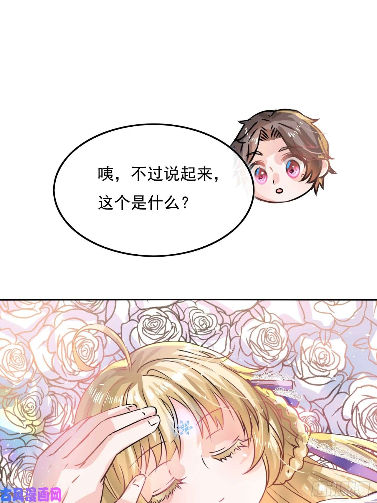系统之小公主攻略第14话 苏醒