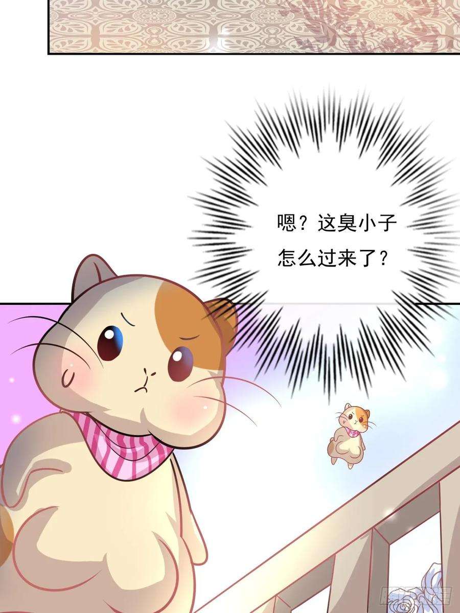 系统之小公主攻略14话 苏醒