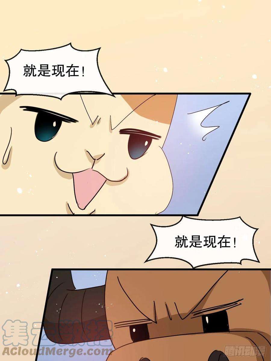 系统之小公主攻略95话 偷袭？！