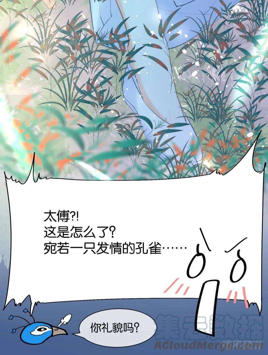 你吵到本宫学习了13 这次一定要做到最后