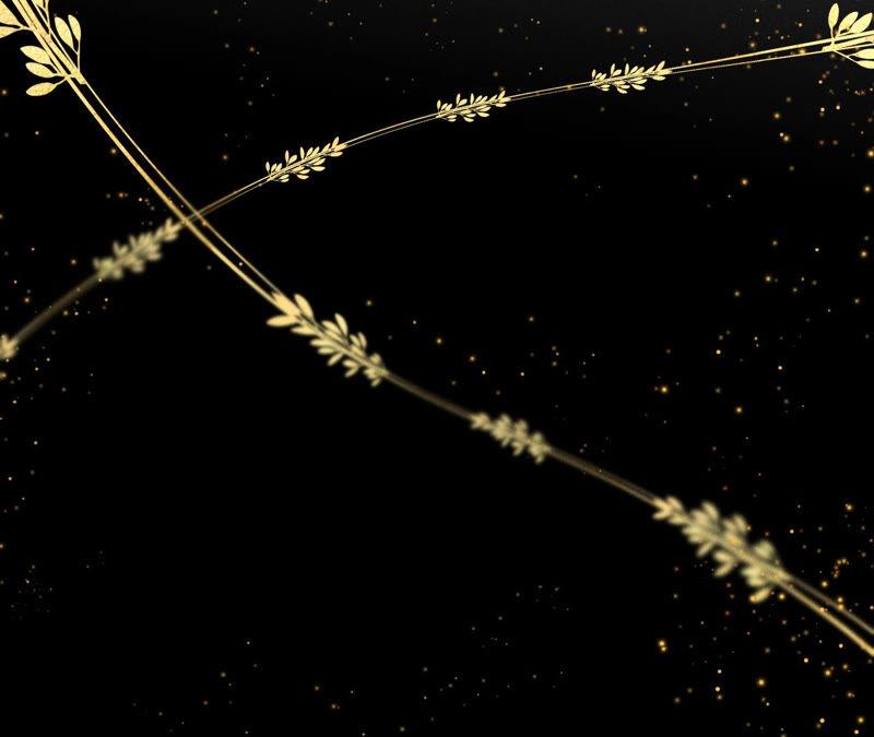 男友半糖半盐02·这个暖男喜欢我？