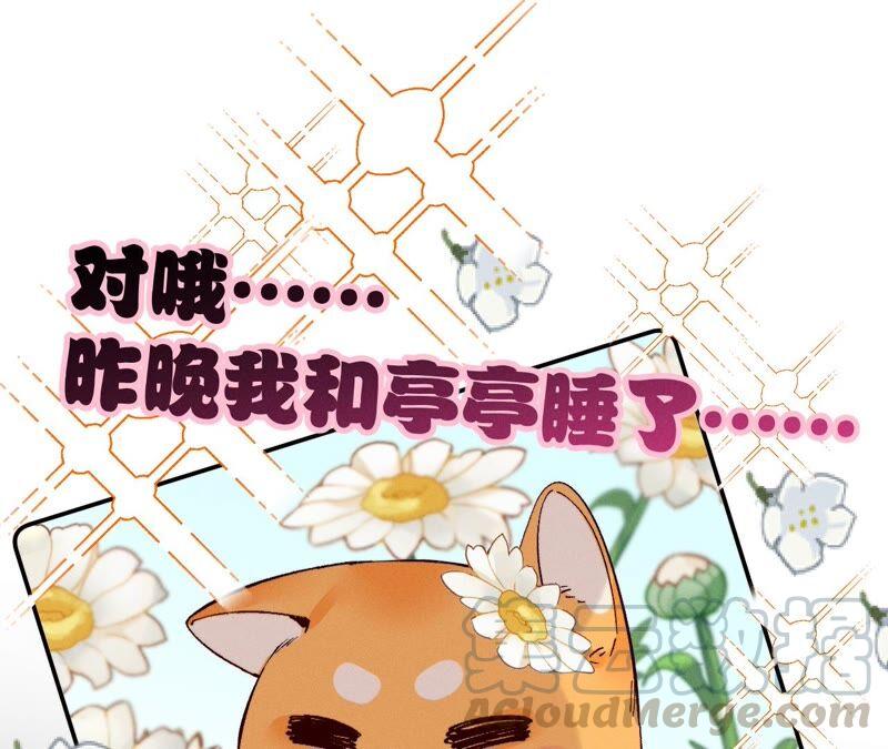 男友半糖半盐14·白占他便宜