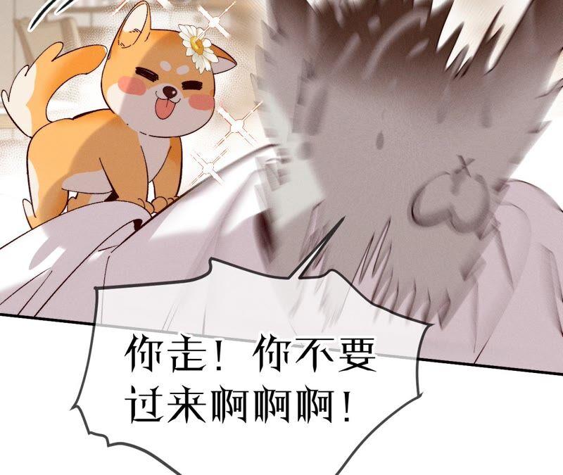 男友半糖半盐14·白占他便宜