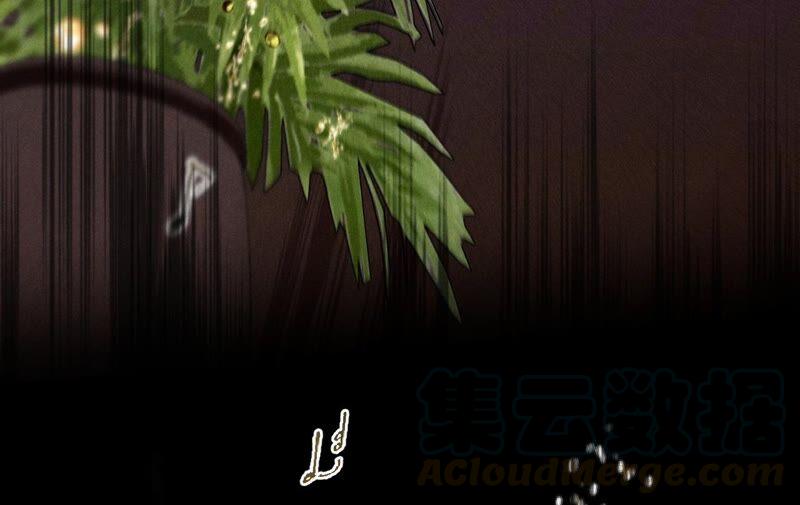 男友半糖半盐16·爱你如星辰