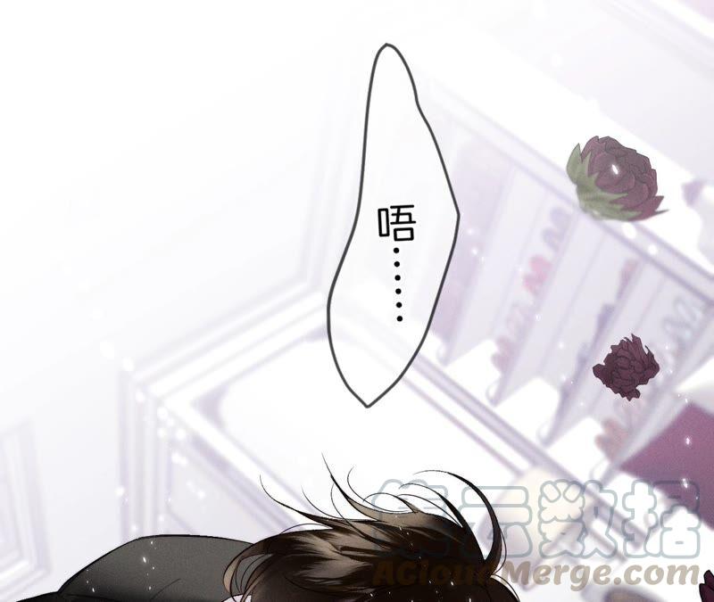 男友半糖半盐25·你给我的经验