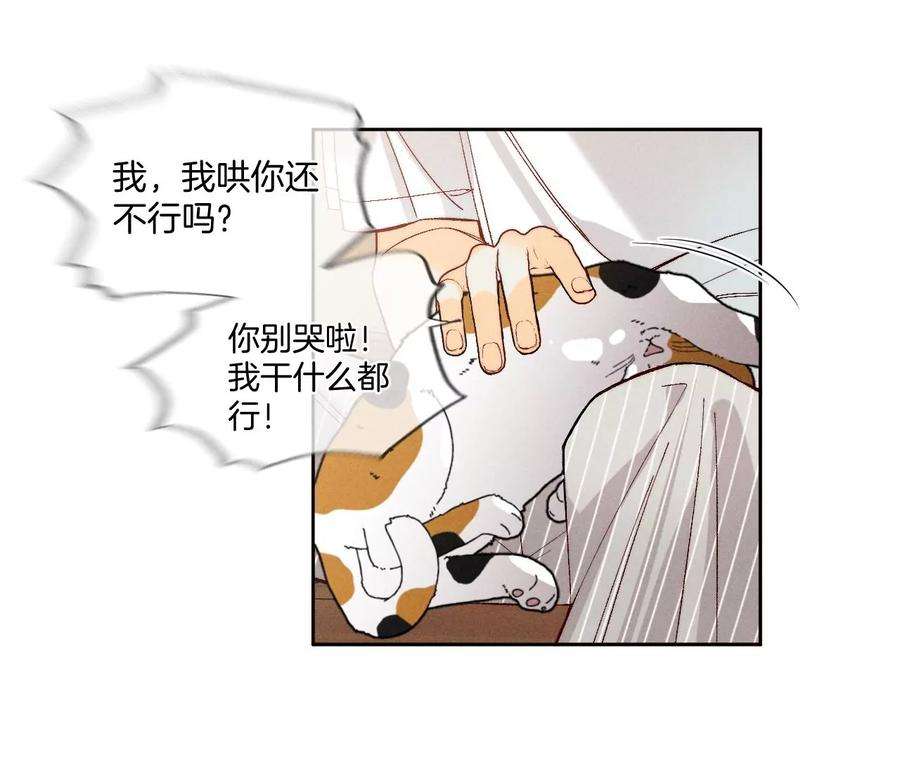 男友半糖半盐为他人做嫁衣？