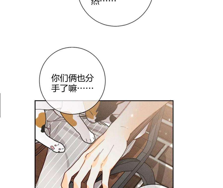 男友半糖半盐为他人做嫁衣？