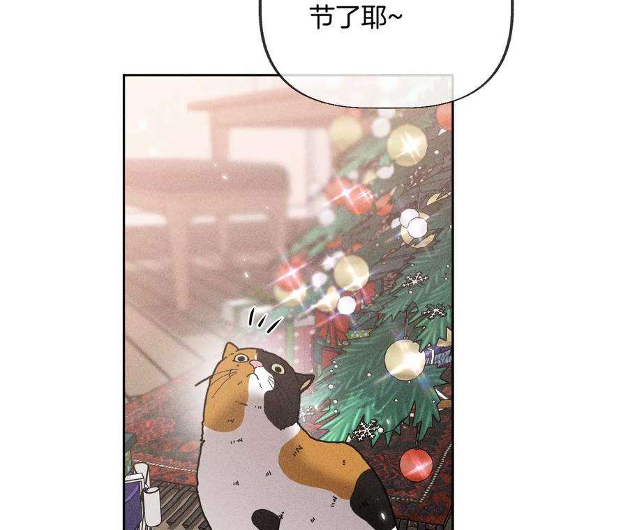男友半糖半盐圣诞节番外