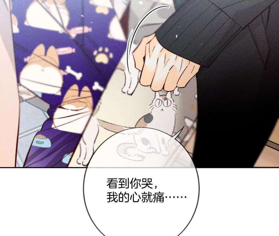 男友半糖半盐不想和你吵架