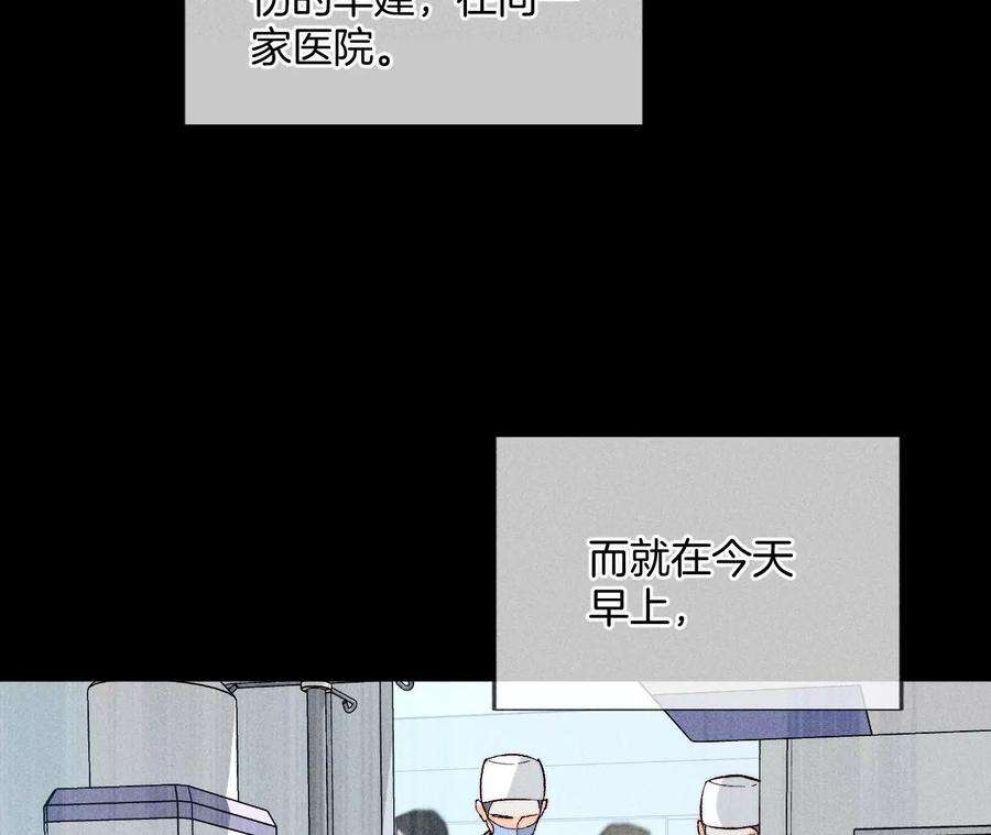 男友半糖半盐发光的阳鱼