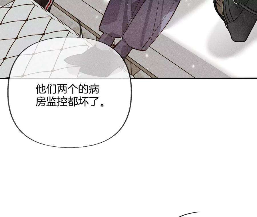 男友半糖半盐发光的阳鱼