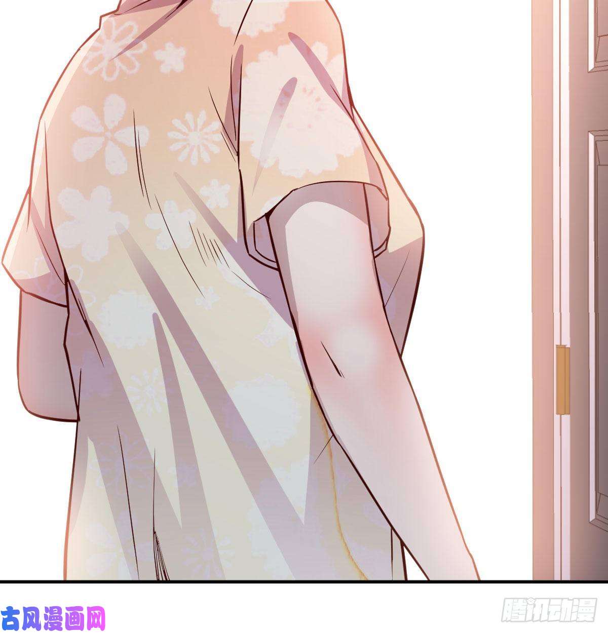 家有双生女友话家以后