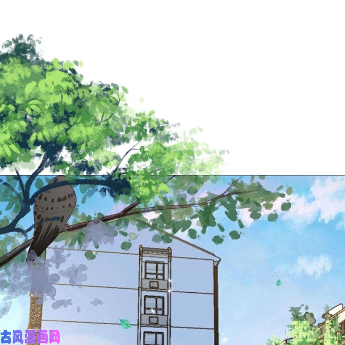 家有双生女友鸡蛋面
