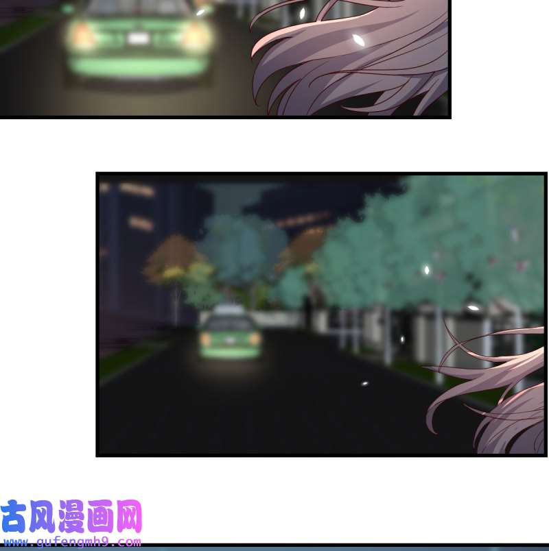 家有双生女友195 boss的生日