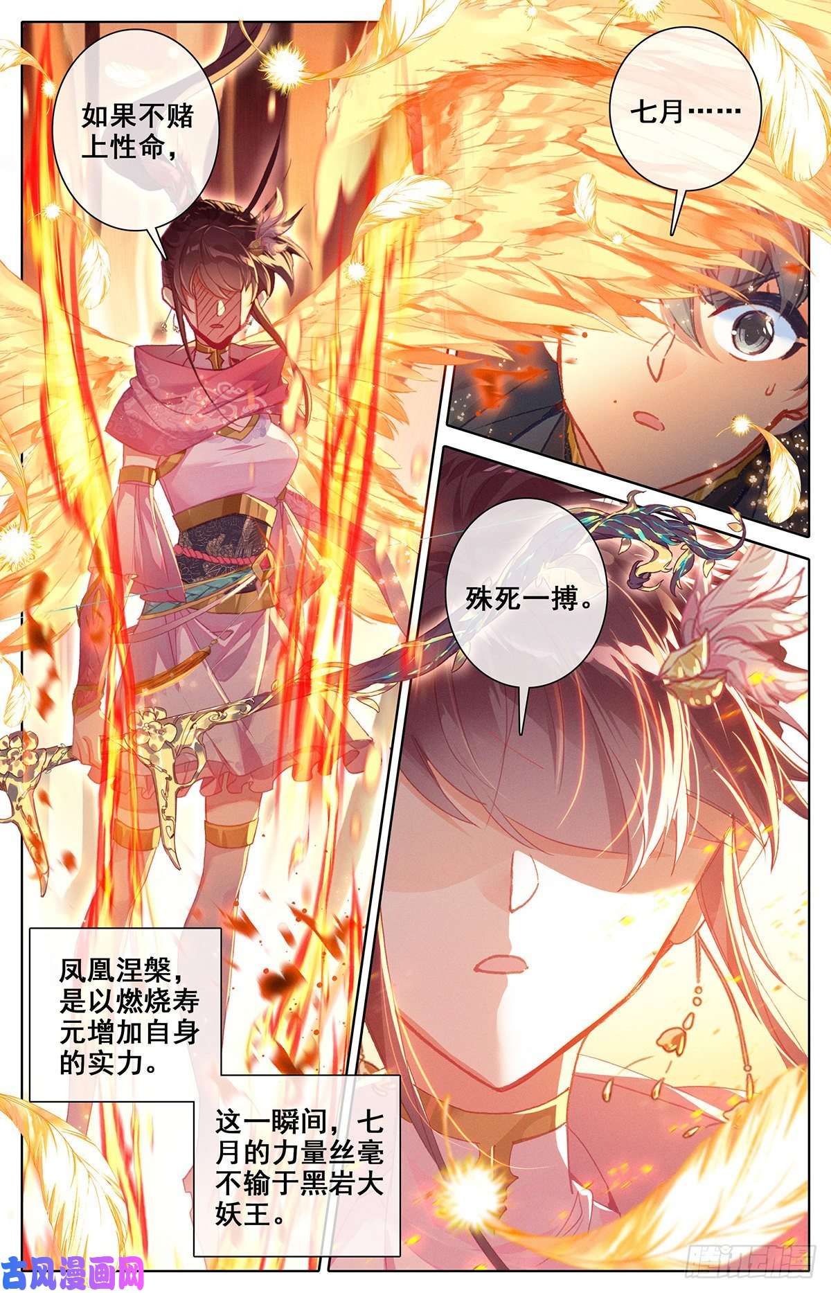 沧元图凤凰涅槃