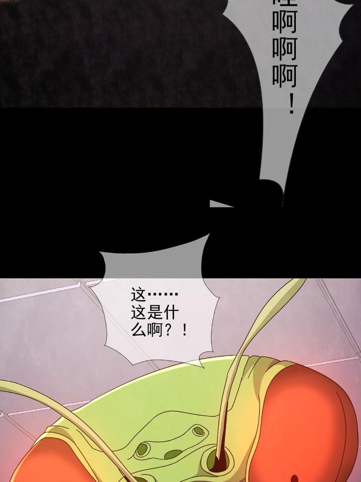 末日乐园62 062 进击的螳螂