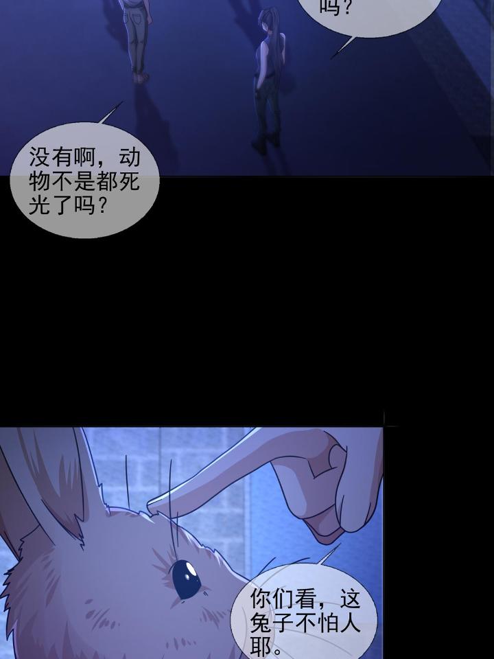末日乐园68 068 哪里来的兔子