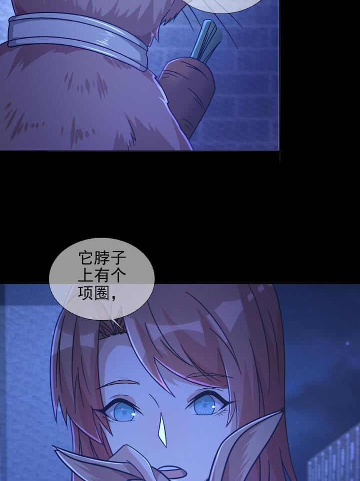 末日乐园68 068 哪里来的兔子