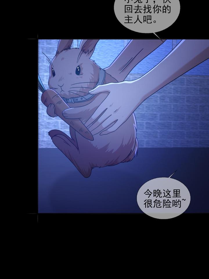 末日乐园68 068 哪里来的兔子