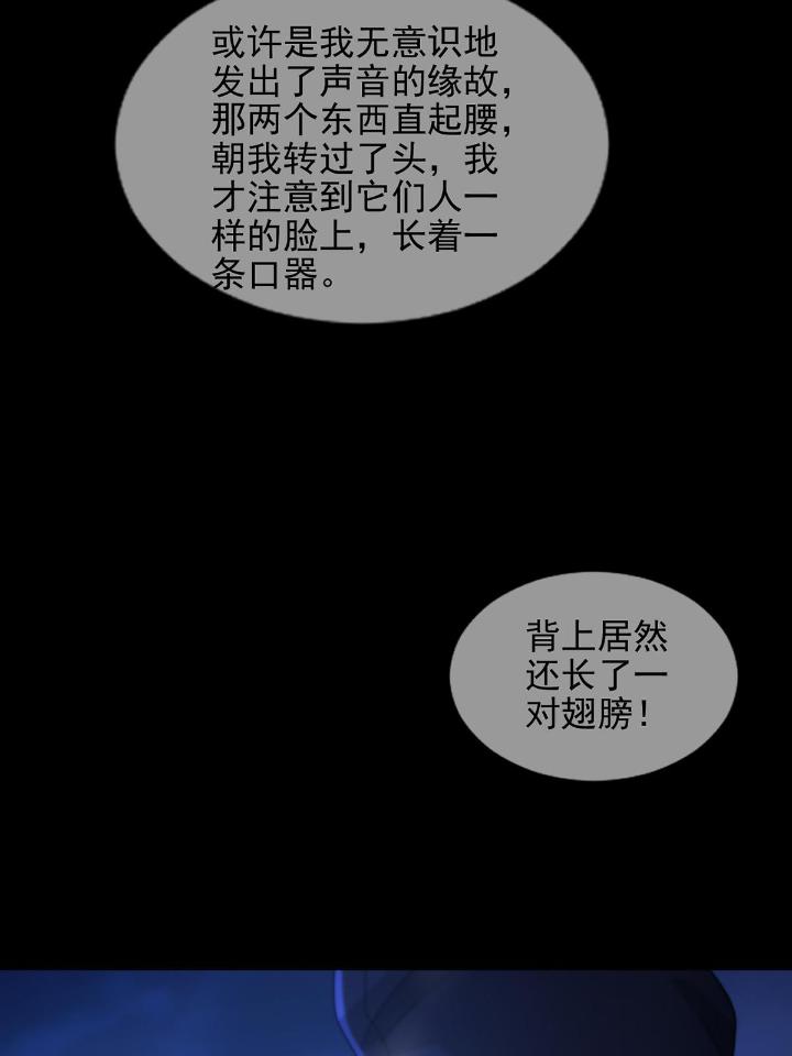 末日乐园72 072 海天清的过去