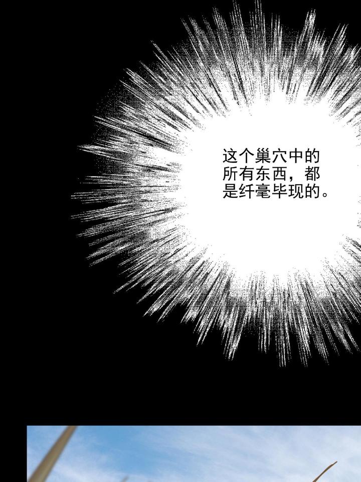 末日乐园73 073 毁灭巢穴