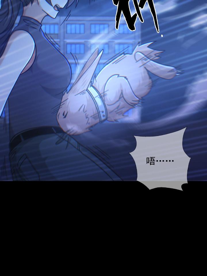 末日乐园74 074 兔子干部