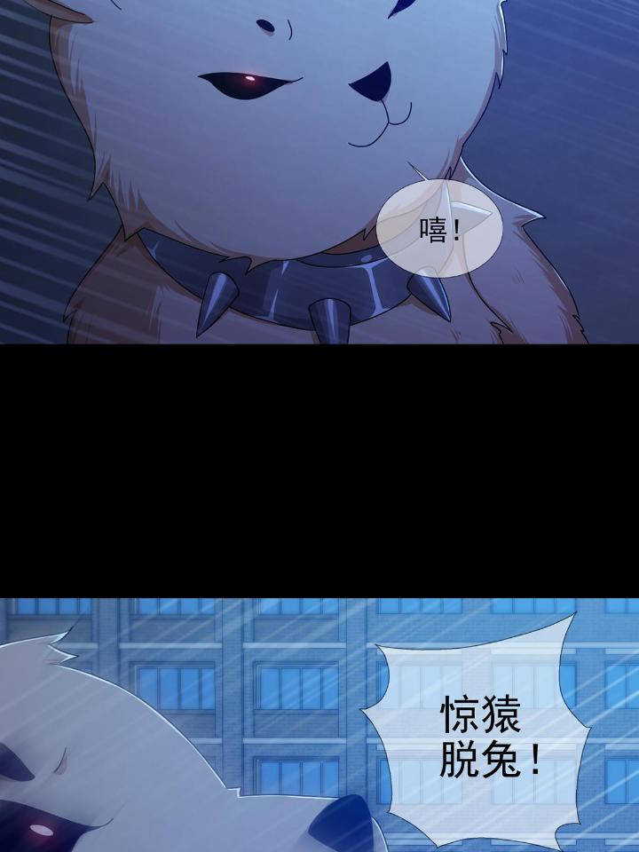 末日乐园75 075 谁是白教授