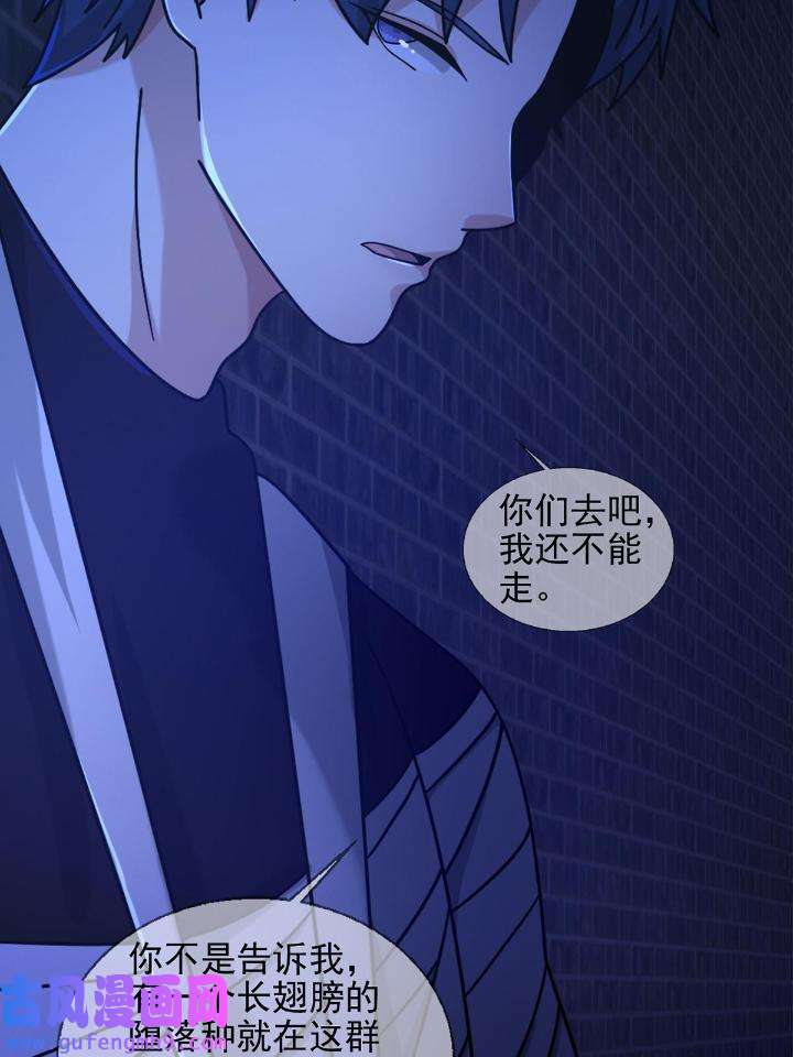 末日乐园79 079 分别