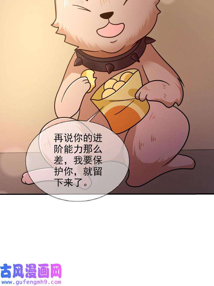 末日乐园81 081 告别绿洲