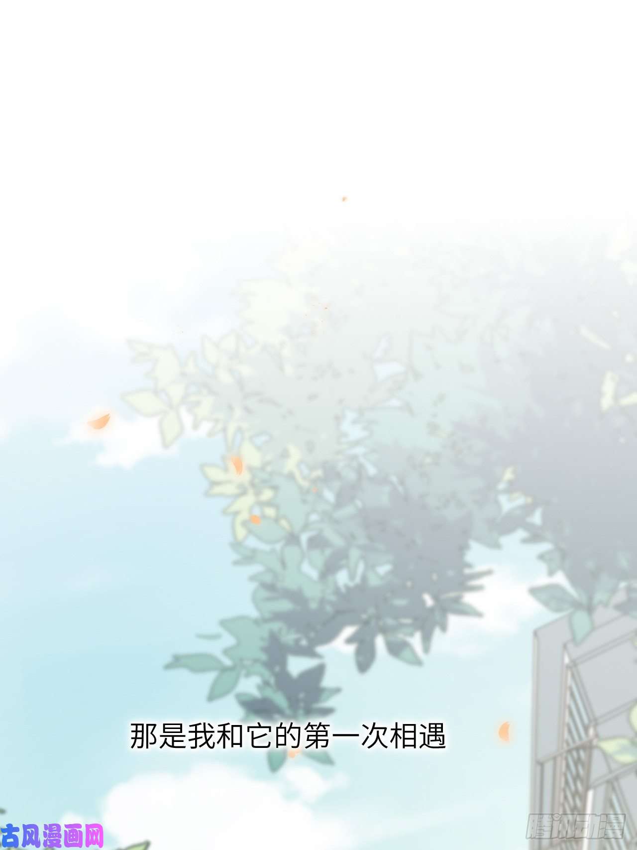 美攻在上第11话：小熊玩具（一）