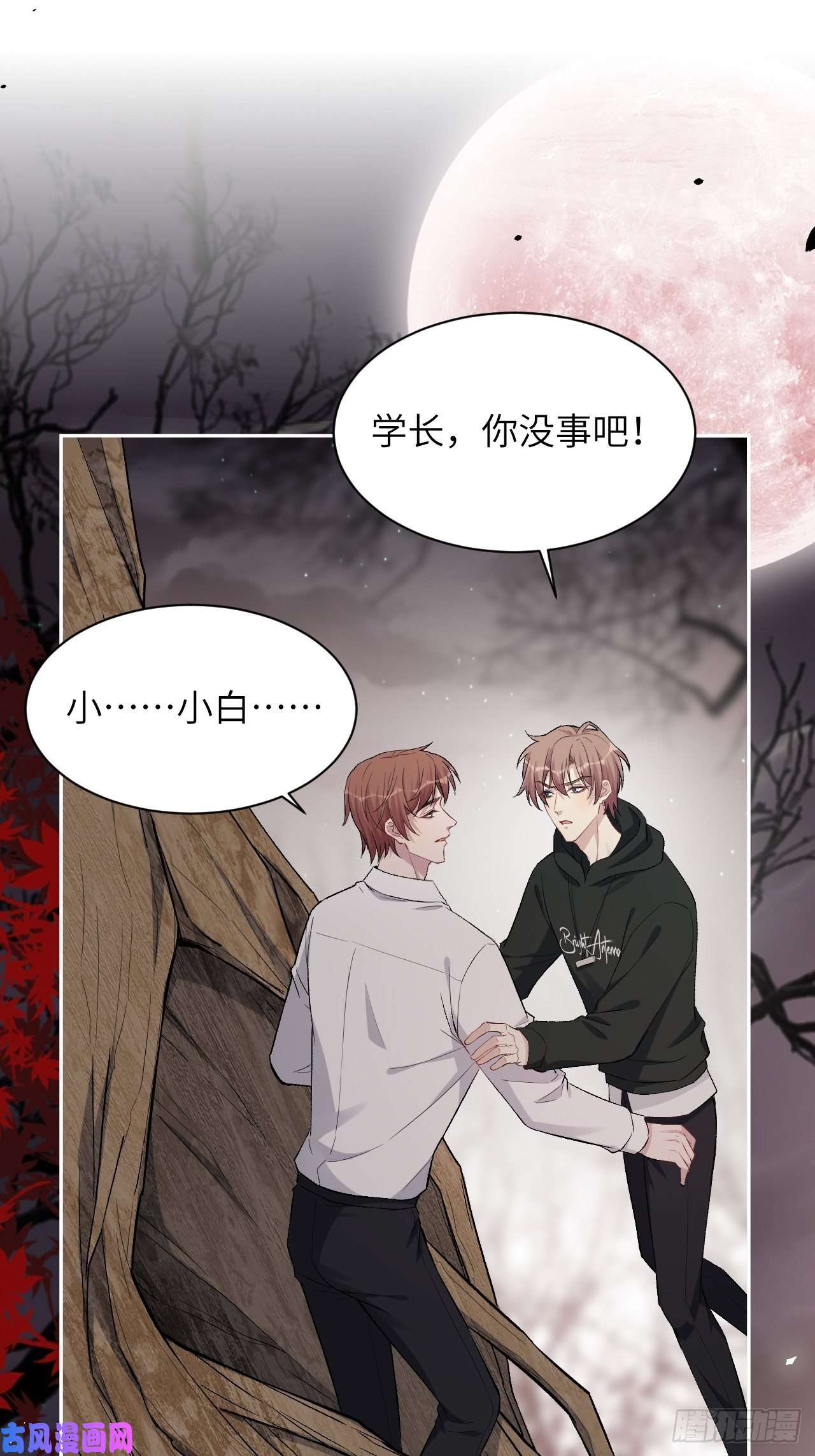 美攻在上第37话：画家与爱人（七）