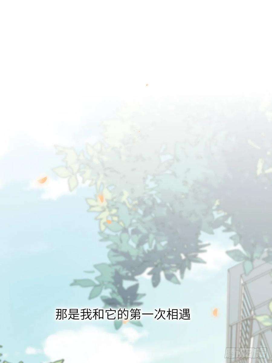 美攻在上11话：小熊玩具（一）