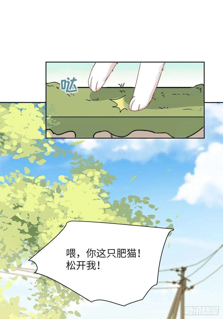 美攻在上44话：蝉妖知知（五）