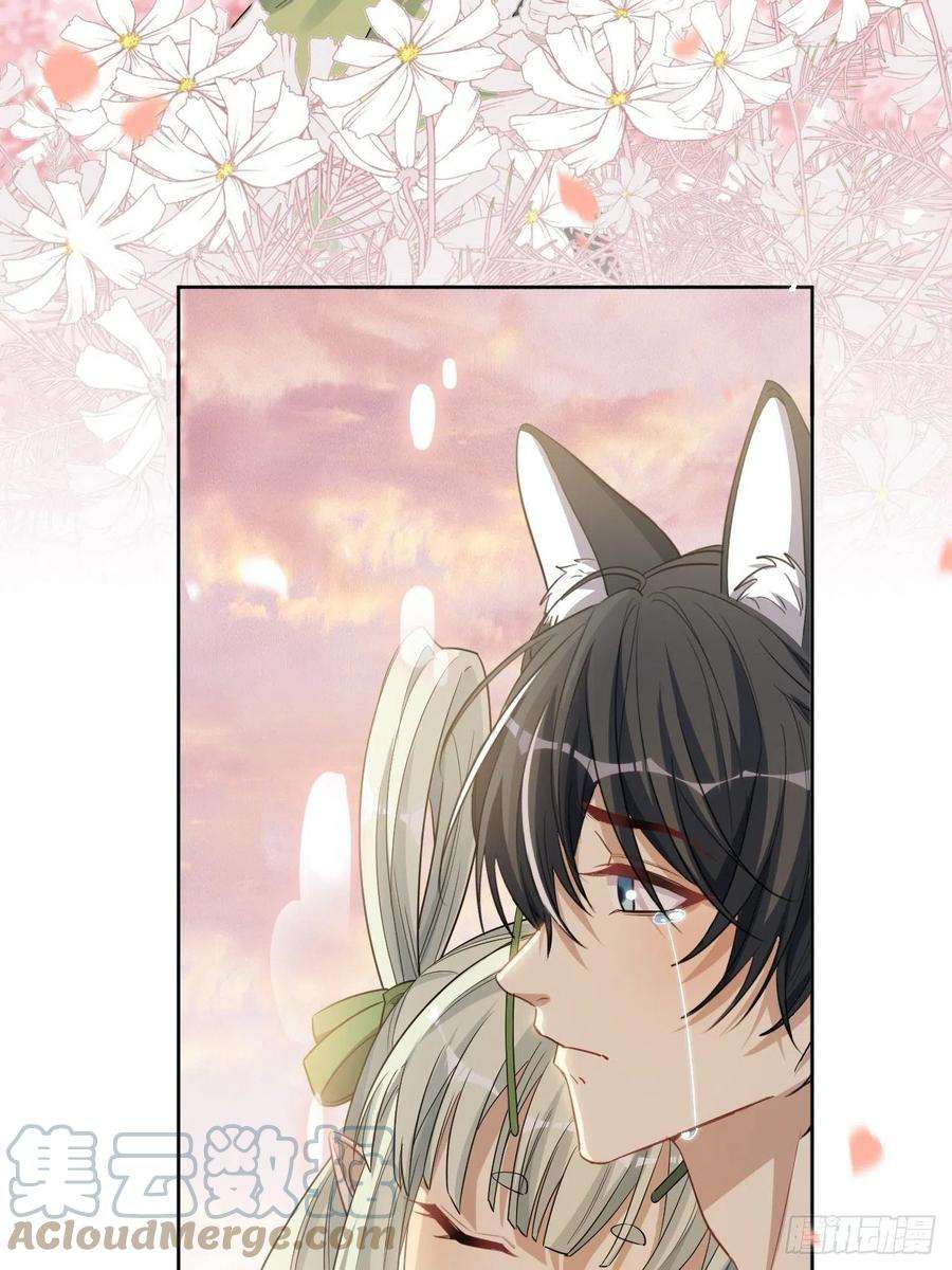 美攻在上50话：蝉妖知知（十一）