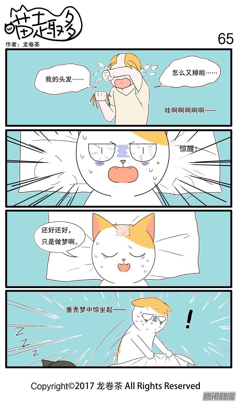 喵趣多53~65