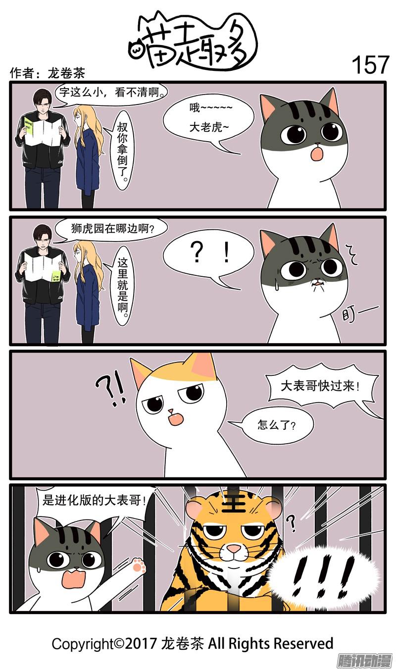 喵趣多155~174