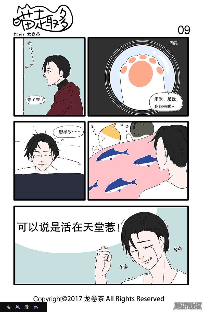 喵趣多03 十年修得同船渡 几年修得同