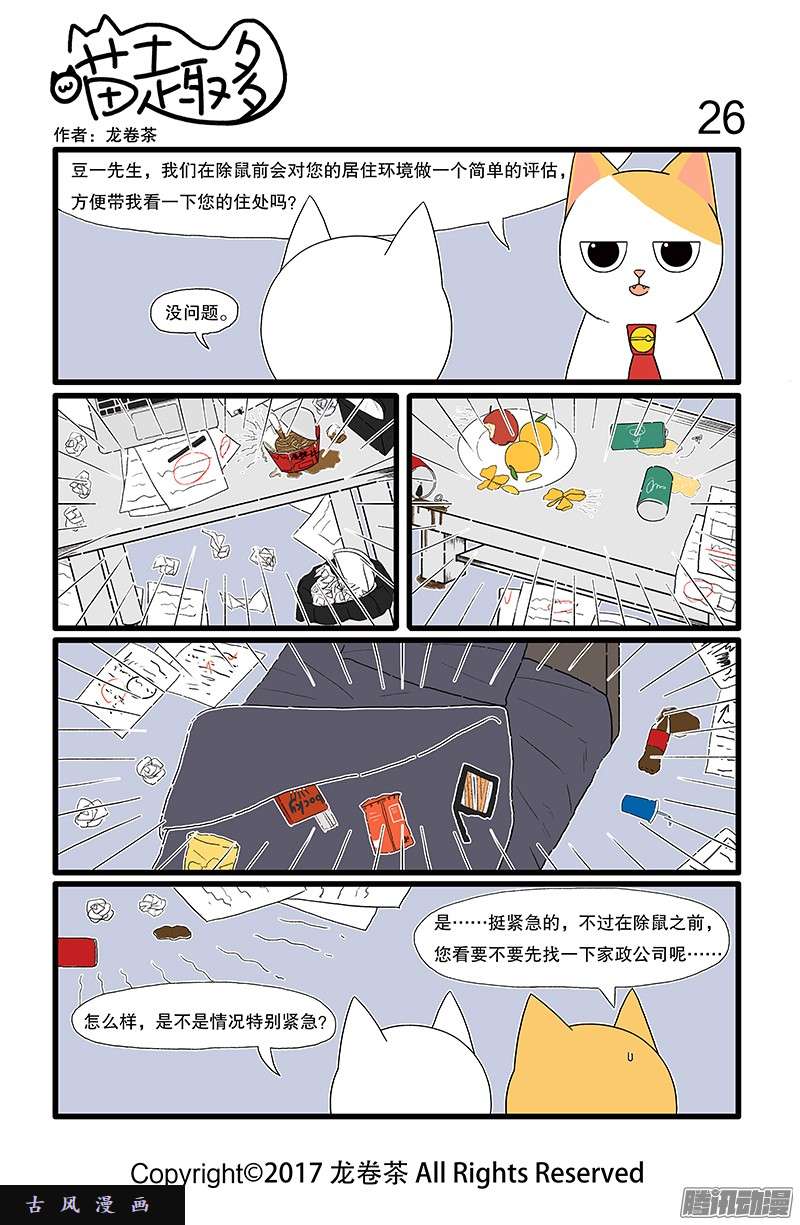 喵趣多08 豆豆眼是猫咪里的稀有品种