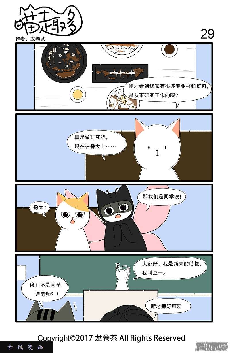 喵趣多08 豆豆眼是猫咪里的稀有品种