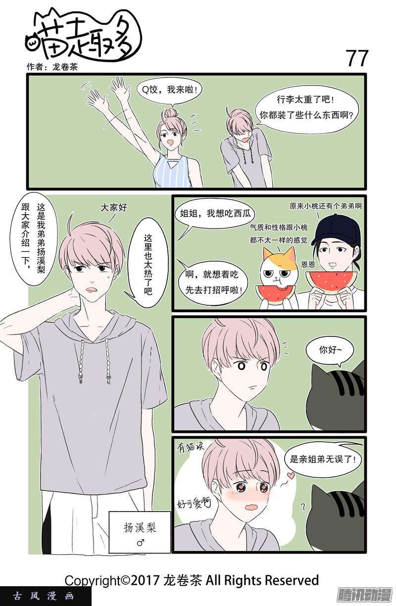 喵趣多19