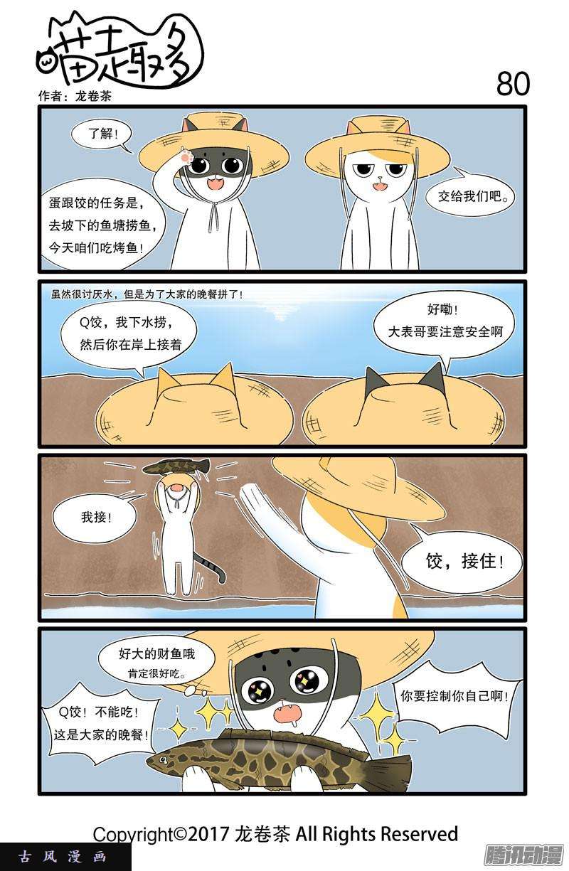 喵趣多20