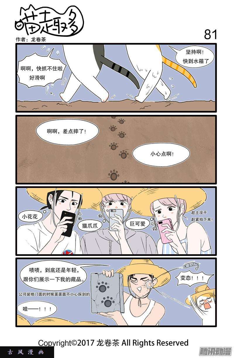喵趣多20